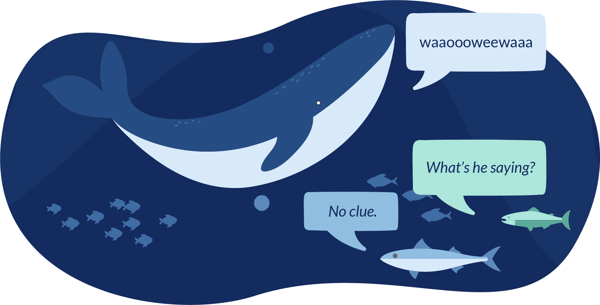 Jargon Whale