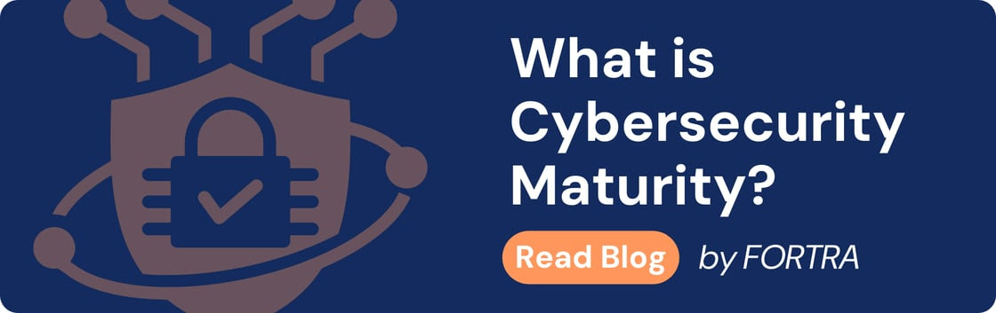 Maturity in Cybersecurity