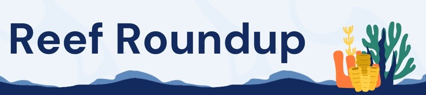 Reef Roundup