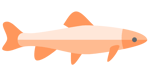 Orange Fish Long accent