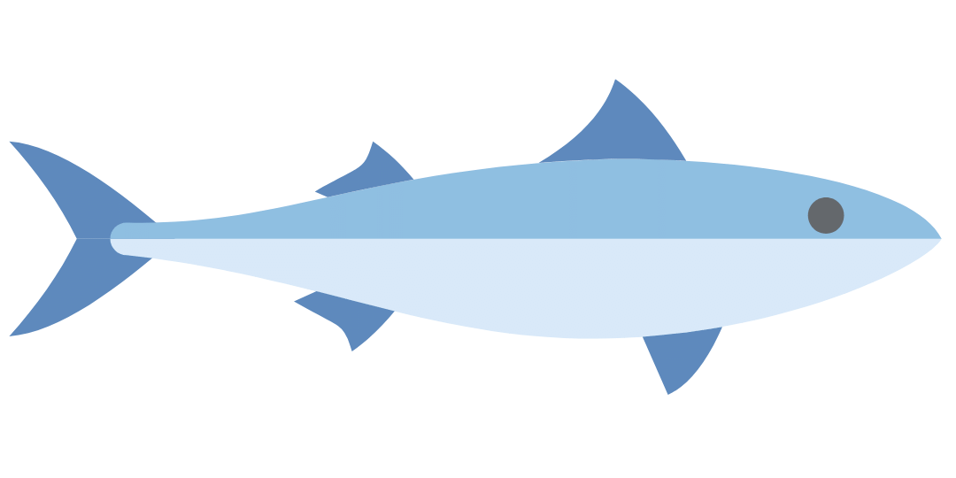 Blue Fish long accent